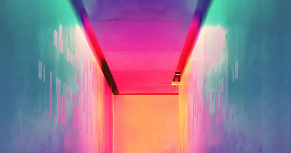 Top 10 Museums in Houston