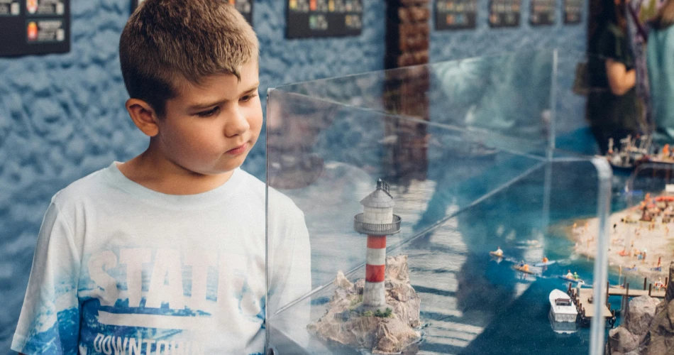 Top 10 Museums in Houston