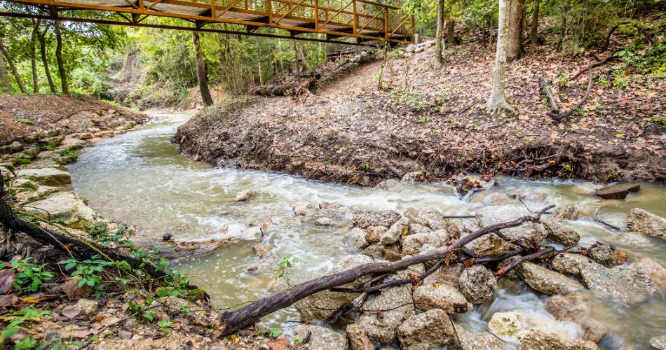 Las 10 mejores cosas para hacer en pareja en Houston, Texas