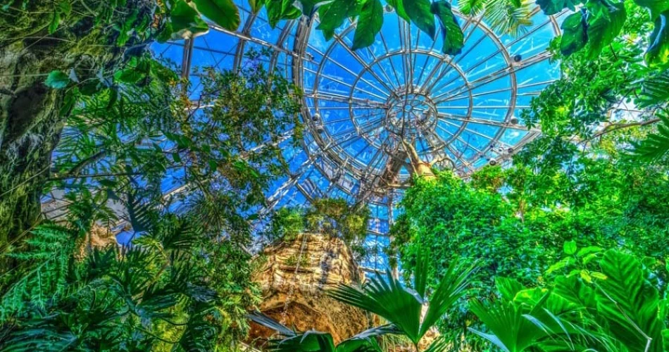 Las 20 principales cosas que hacer en Houston