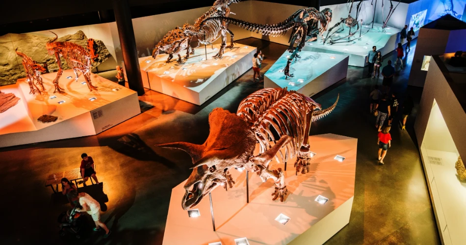 Las 20 principales cosas que hacer en Houston