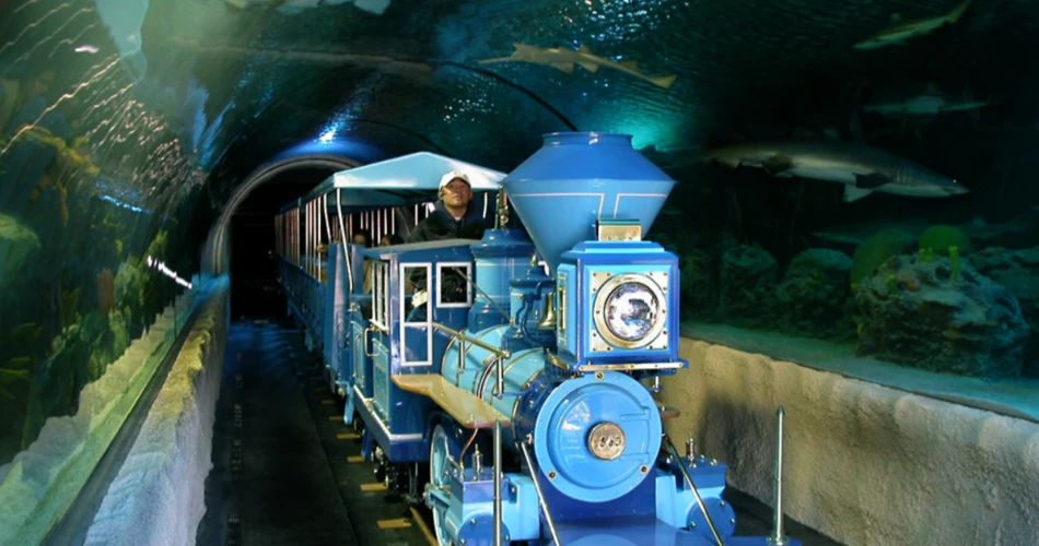 Las 10 mejores cosas para hacer en Houston con niños